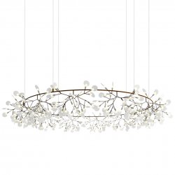 Heracleum Big O