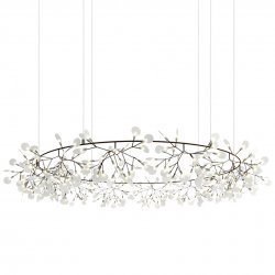 Heracleum Big O
