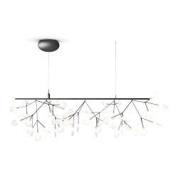 Heracleum III Endless Nickel