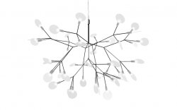 Heracleum III Small Nickel