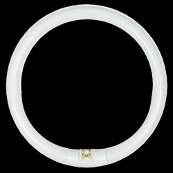 Cirkellysrör T9 32W 827