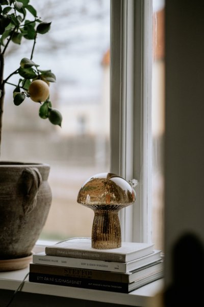 Fungo 16 Bordslampa Brun 