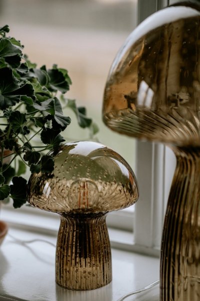 Fungo 16 Bordslampa Brun 