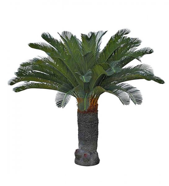 Cycas palm 130cm