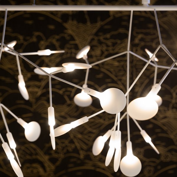 Heracleum III Linear White