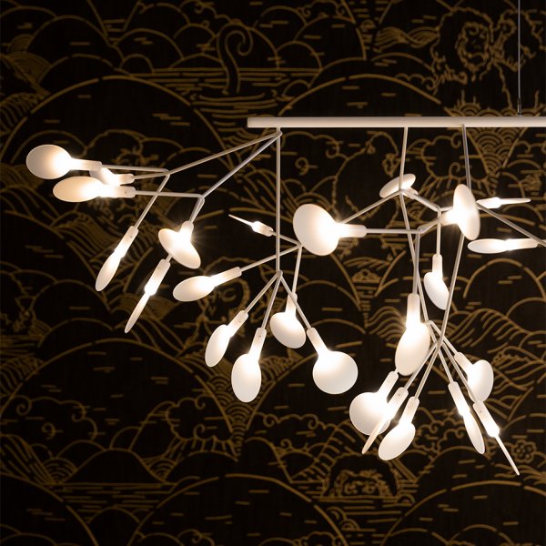 Heracleum III Linear White