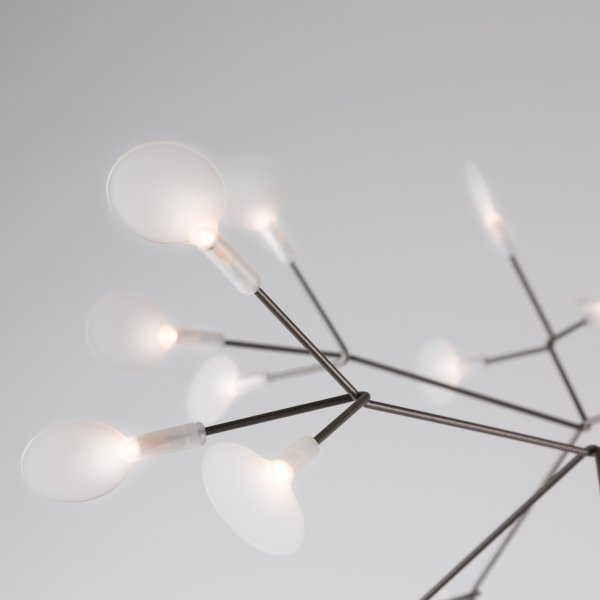 Heracleum III Large Nickel