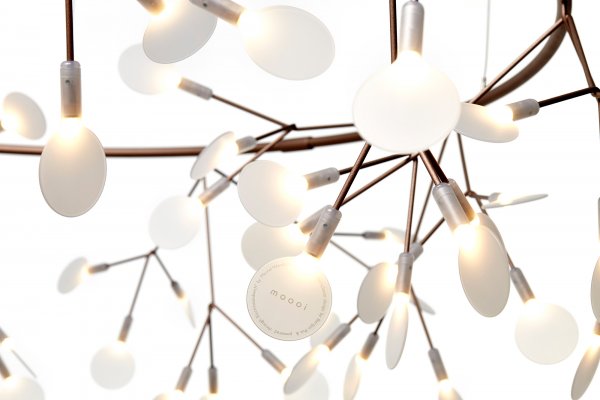 Heracleum III The Small Big O Copper