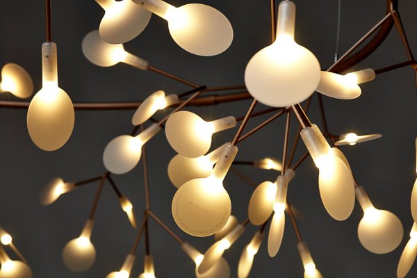 Heracleum III Endless Nickel