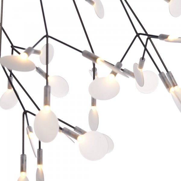 Heracleum III Endless Nickel