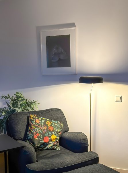 BREMEN Golvlampa Svart/Matt Mässing